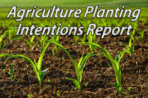PlantingIntentions.png