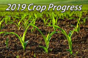crop-progress
